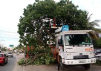 Superintendência de Campo Grande coordena operação de ordenamento e limpeza na região