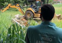 Ação bota abaixo nove estruturas de casas e pequenos prédios em área de proteção ambiental de Guaratiba