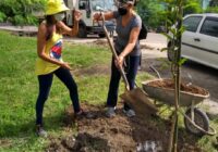 Parques e Jardins, voluntários e moradores plantam mais de 200 árvores em Realengo e Paciência