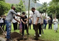 Fazenda Modelo em Guaratiba ganha Fábrica de Árvores