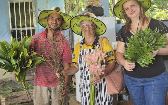 Visita técnica ao Sitio da Alzira e paineiras