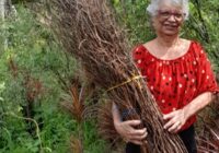 ´Tortinho, o “Secos e Molhados” multifuncional da Flora