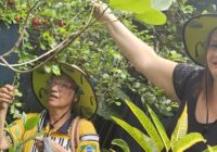 Produtores rurais da Zona Oeste lutam por reconhecimento 